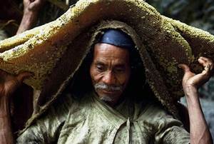 Honey Hunters Of Nepal. Непальские охотники за мёдом. 