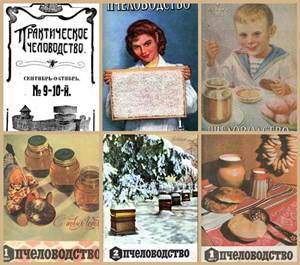 Журнал Пчеловодство [1927-1977г] скачать